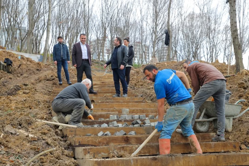 118 DÖNÜMLÜK ÇERKEZLER TEPESİ FATSA'NIN YENİ ÇEKİM MERKEZİ OLACAK