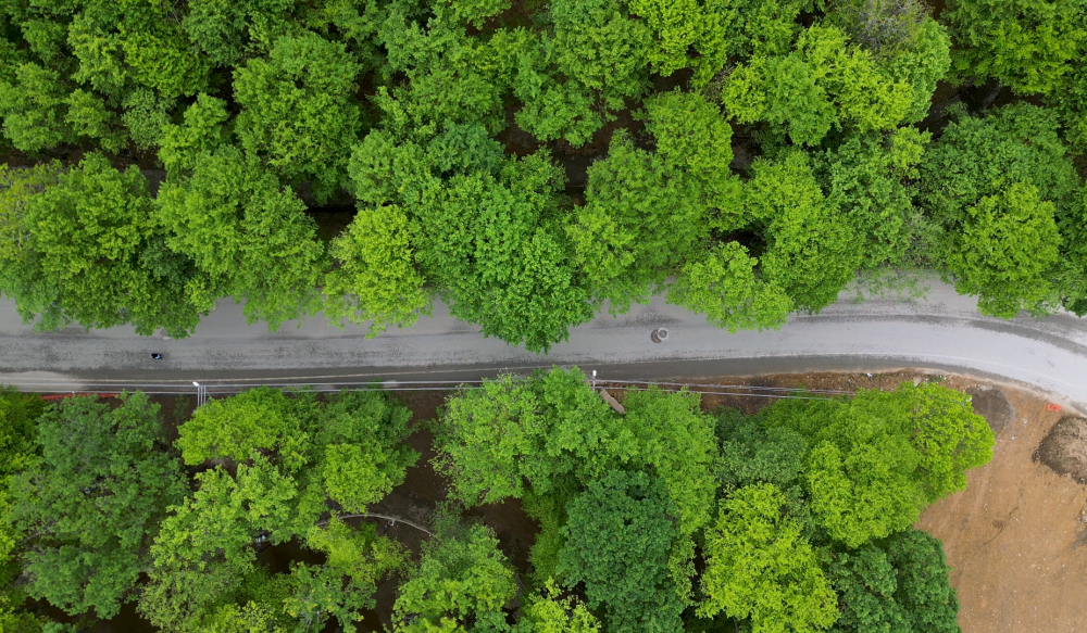 ÇERKEZLER TEPESİ, DOĞAL GÜZELLİĞİYLE FATSA’NIN GİZLİ CENNETİ OLMAYA GELİYOR