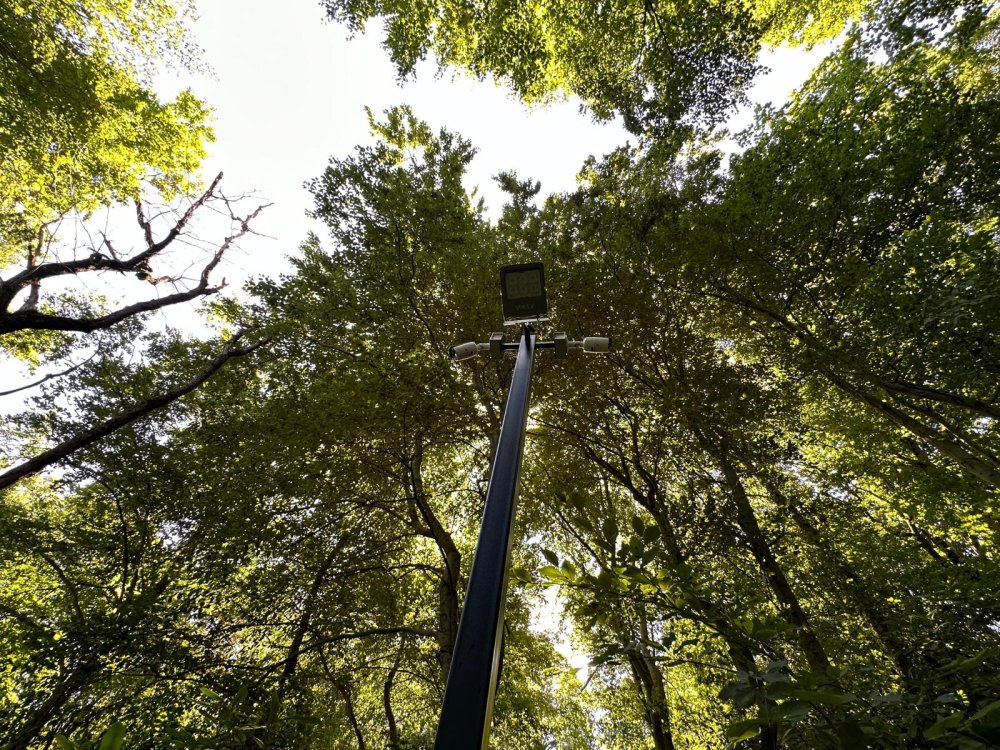 CINGIRT ANTİK YERLEŞİM YERİ ARTIK DAHA GÜVENLİ