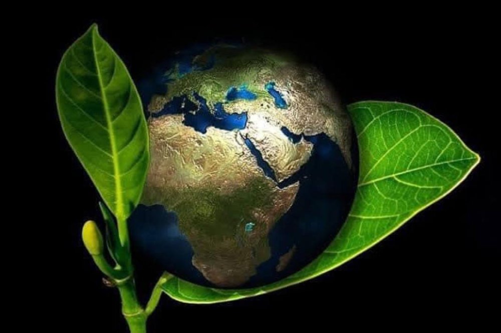 DÜNYAMIZ İÇİN 6 ŞEYİ MUTLAKA YAPALIM