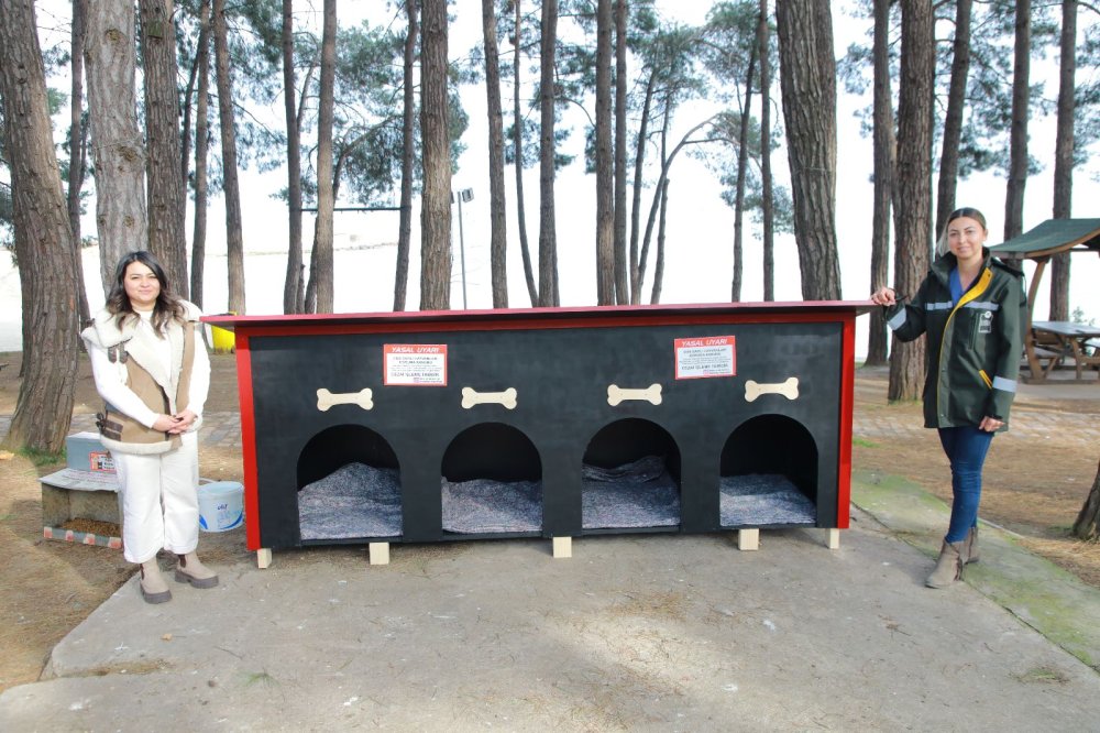 FATSA BELEDİYESİ STK’LARLA SOKAK HAYVANLARI İÇİN EL ELE