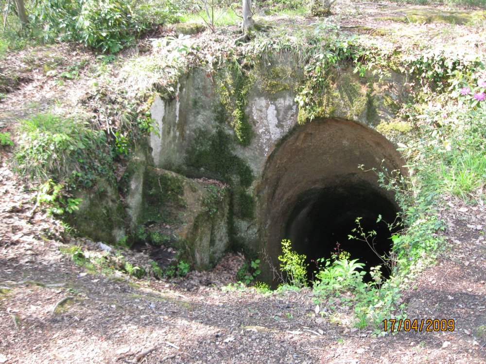 FATSA'DA BU YIL ARKEOLOJİ YILI OLACAK