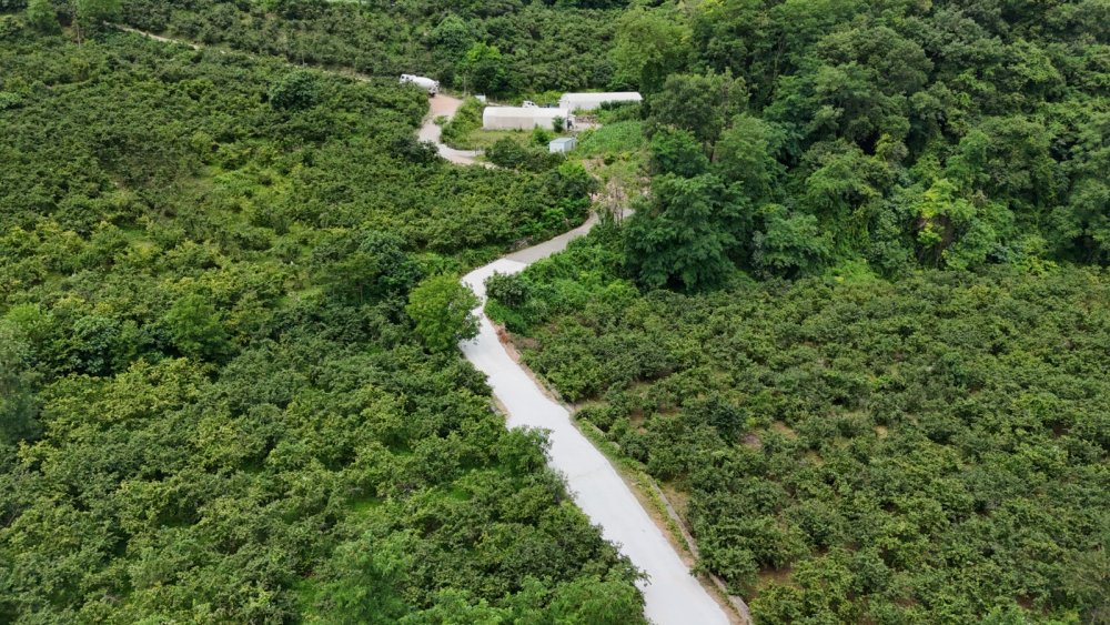 FATSA'DA KIRSAL MAHALLELERE BETON YOL ATAĞI: ULAŞIM DAHA GÜVENLİ VE KONFORLU