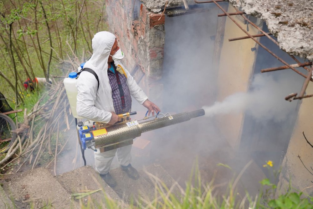 FATSA’DA KOKARCA ZARARLISINA KARŞI 89 MAHALLEDE KESİNTİSİZ MÜCADELE