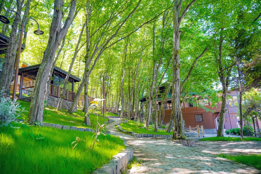 FATSA’DA TURİZME YENİ BİR SOLUK: ÇERKEZLER TEPESİ BUNGALOV OTEL & RESTORAN 1 HAZİRAN’DA AÇILIYOR