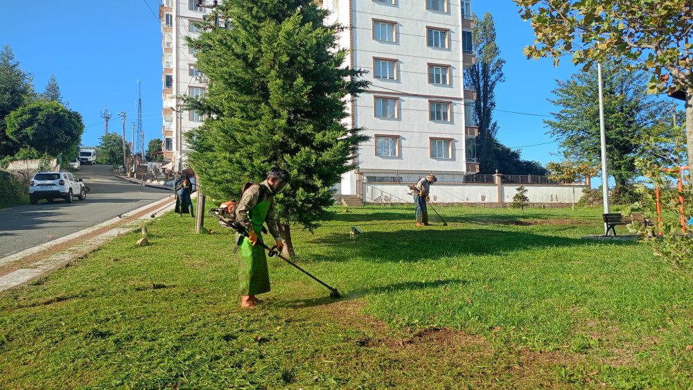 FATSA’DA YEŞİL ALAN VE KENT MOBİLYALARINDA HUMMALI ÇALIŞMA