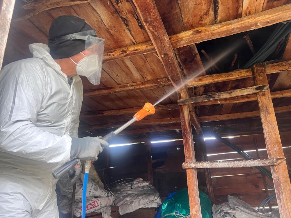 FATSA’NIN 60 MAHALLESİNDE KOKARCA İLAÇLAMASI BİTTİ, İLAÇLANAN HANE SAYISI 15.950