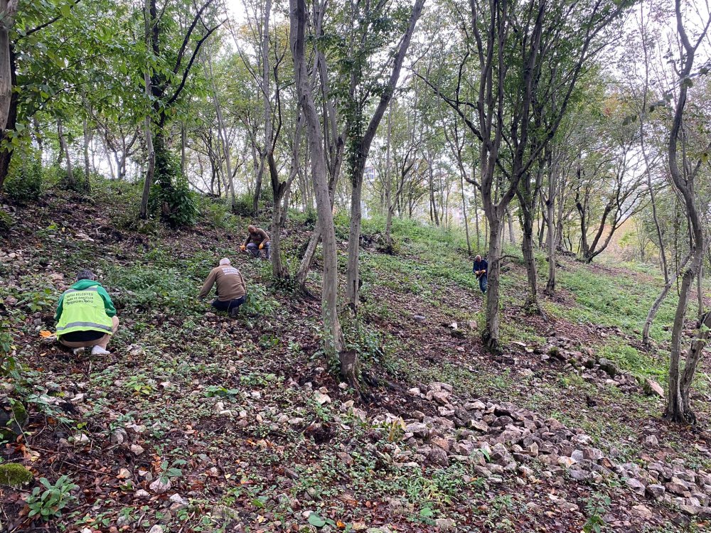 FATSA’NIN YEŞİL ALANLARI İÇİN YOĞUN ÇALIŞMALAR SÜRÜYOR