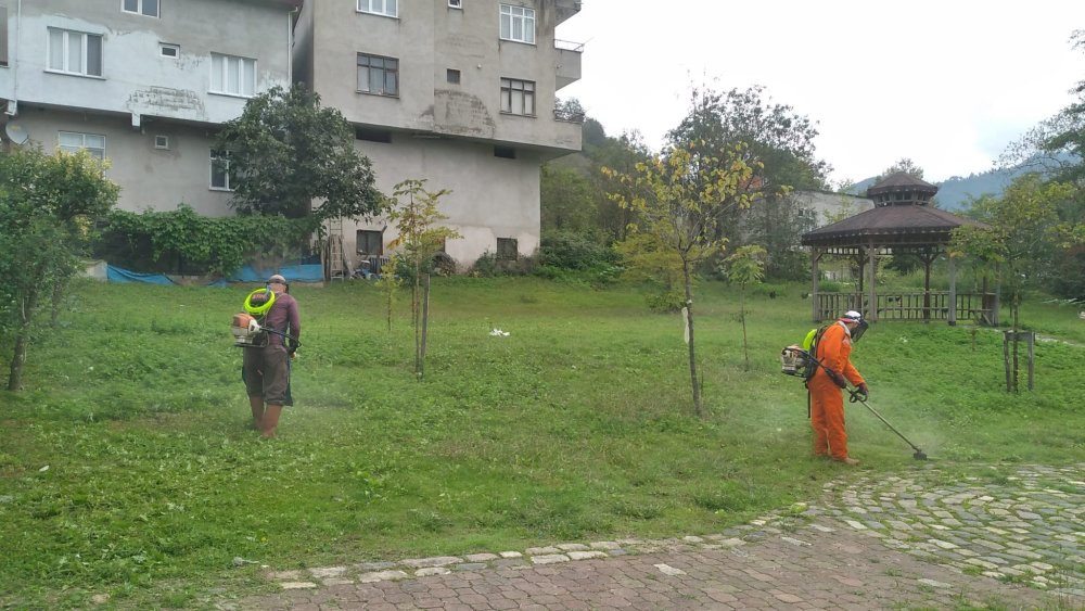 FATSA’NIN YEŞİL ALANLARINDA BAKIM ÇALIŞMALARI DEVAM EDİYOR